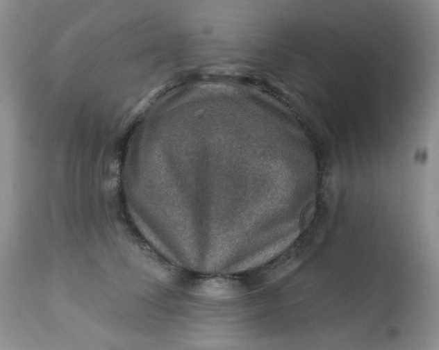 X0000113570708200910091439