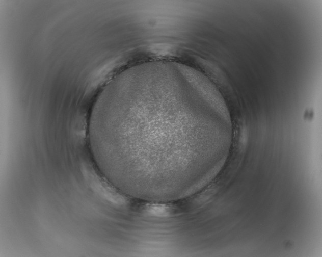 X0000113570710200910091439