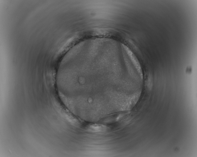 X0000113570712200910091439