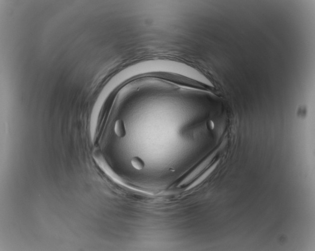 X0000113570716200910091439