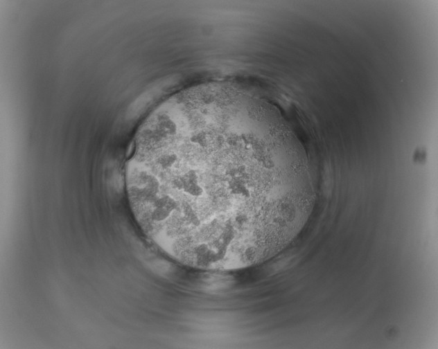 X0000113570719200910091439