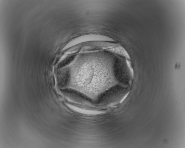 X0000113570720200910091439