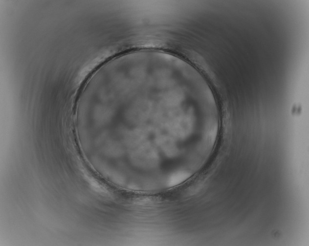 X0000113570721200910091438