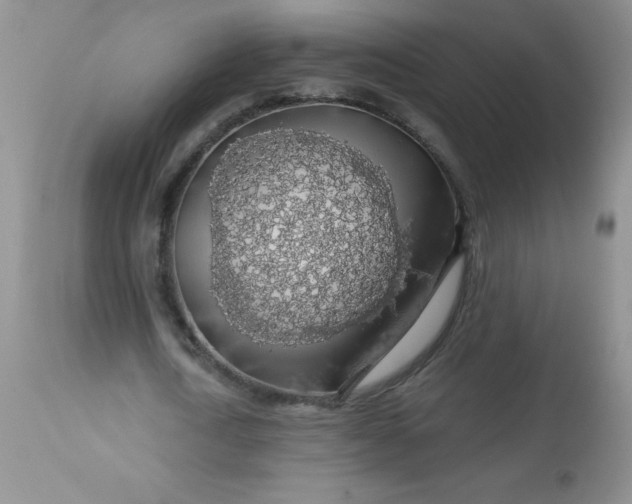 X0000113570722200910091438