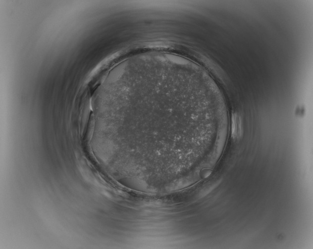 X0000113570723200910091438