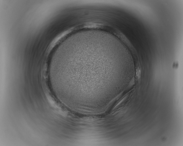 X0000113570724200910091438