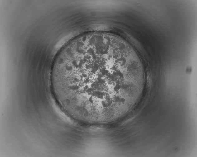 X0000113570725200910091438