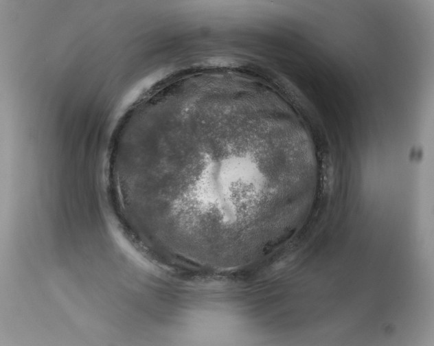 X0000113570726200910091438