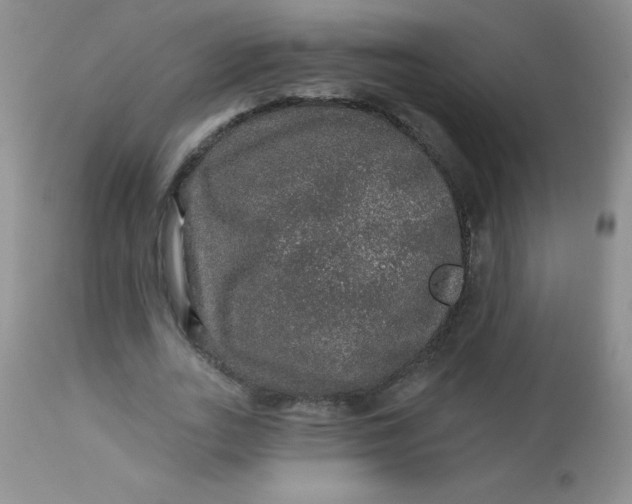 X0000113570727200910091438