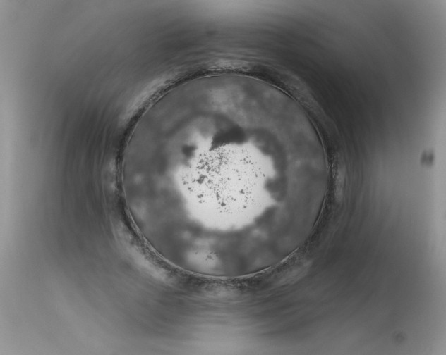 X0000113570729200910091438