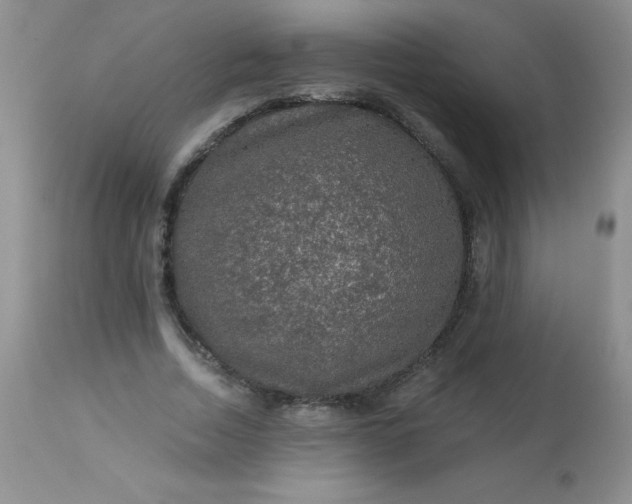 X0000113570730200910091438