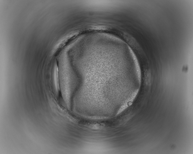 X0000113570731200910091438