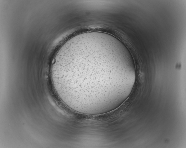 X0000113570732200910091438