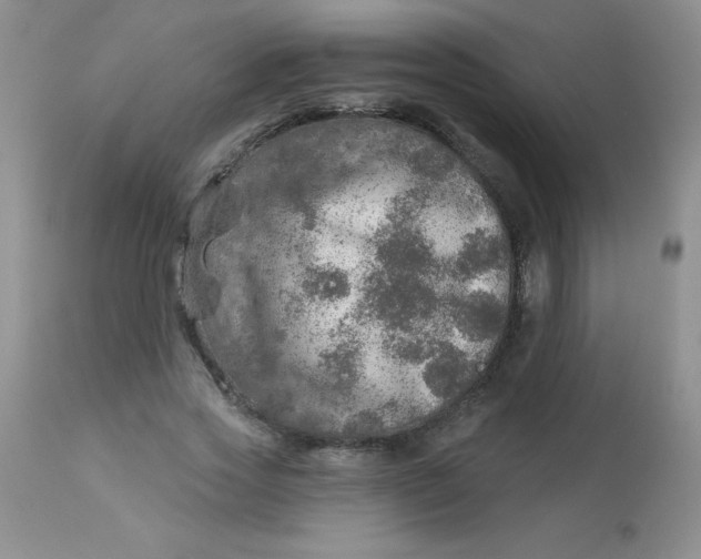 X0000113570733200910091438