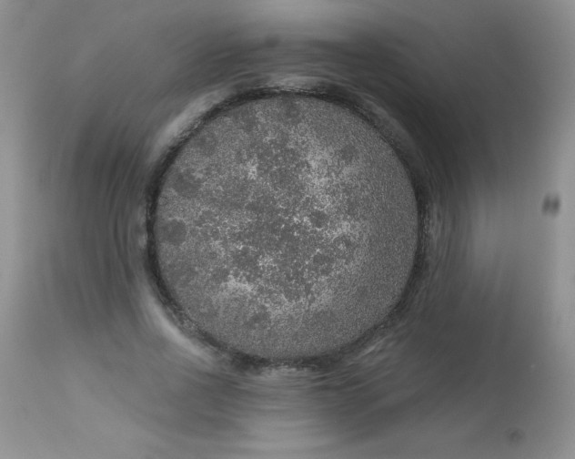 X0000113570734200910091438