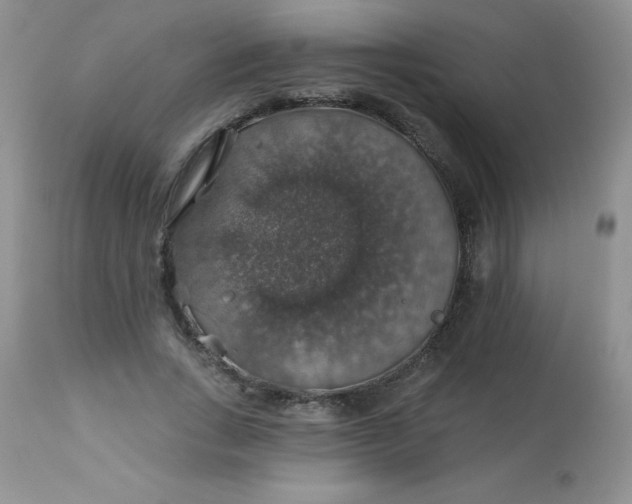 X0000113570735200910091438