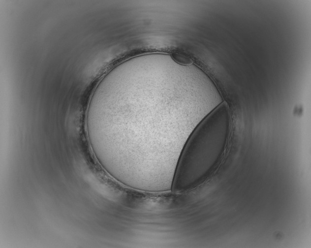 X0000113570736200910091438