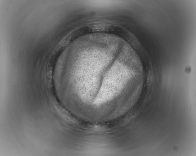 X0000113570737200910091438