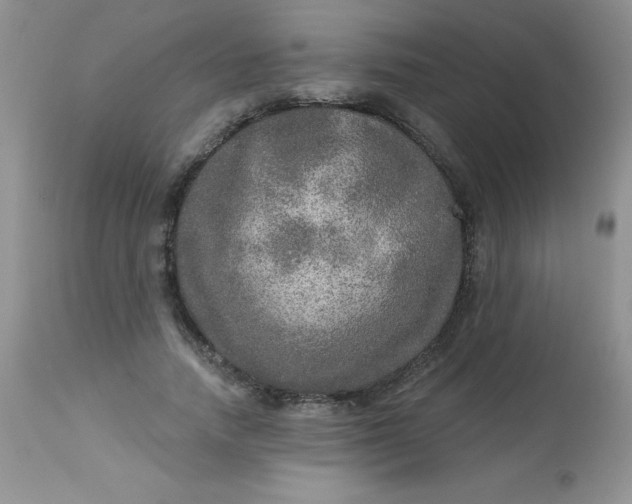 X0000113570738200910091438