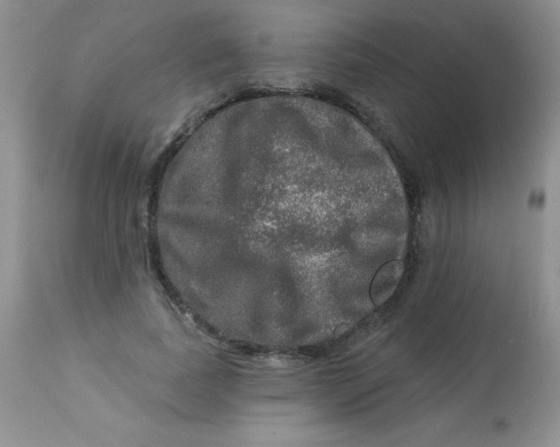 X0000113570739200910091438