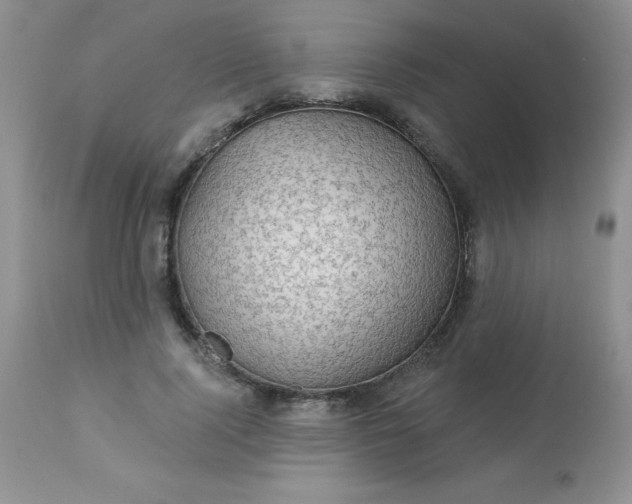 X0000113570740200910091438