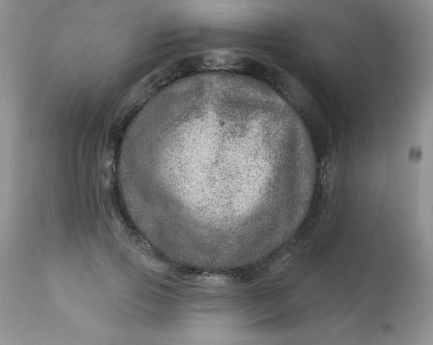 X0000113570741200910091438