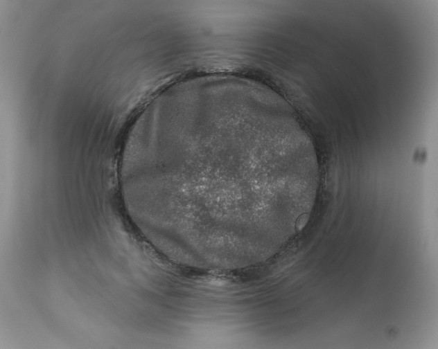 X0000113570743200910091438