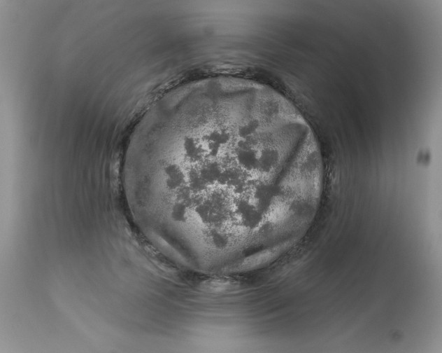 X0000113570745200910091438