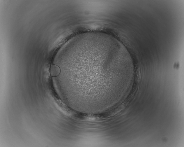 X0000113570746200910091438