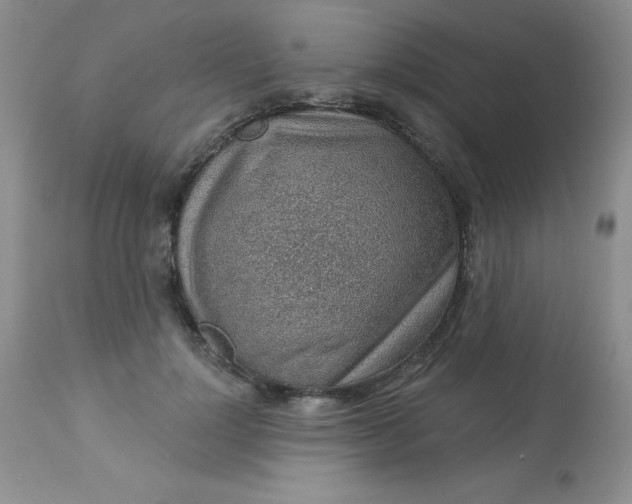 X0000113570748200910091438