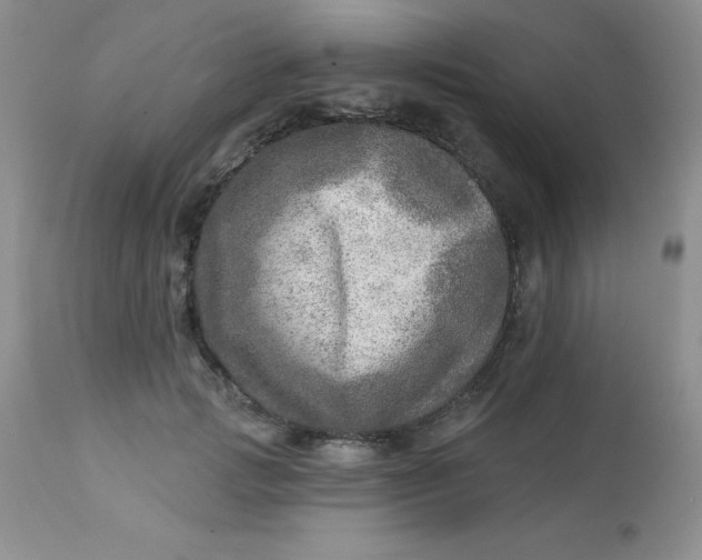 X0000113570749200910091438