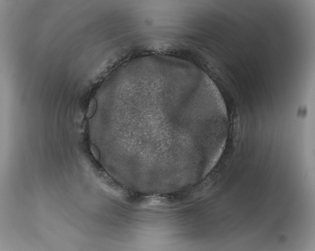 X0000113570750200910091438