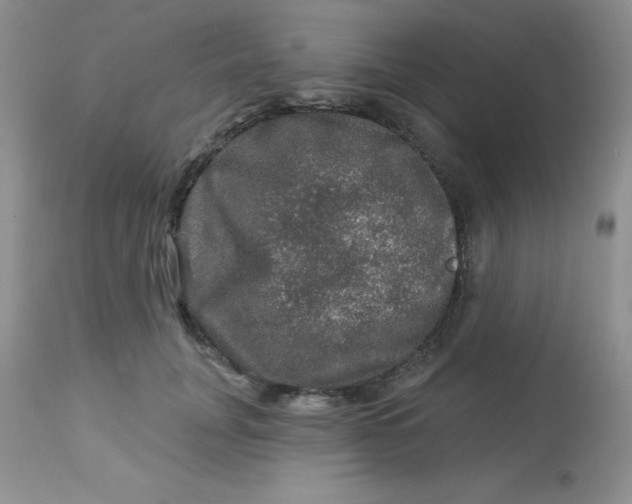 X0000113570751200910091438