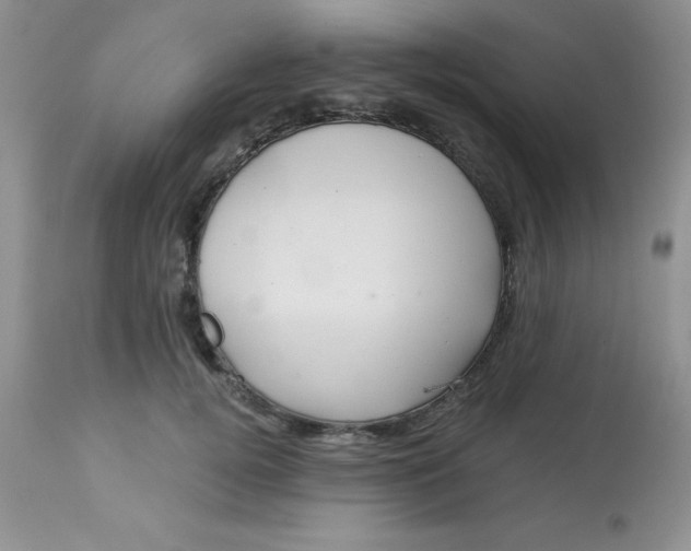 X0000113570752200910091438