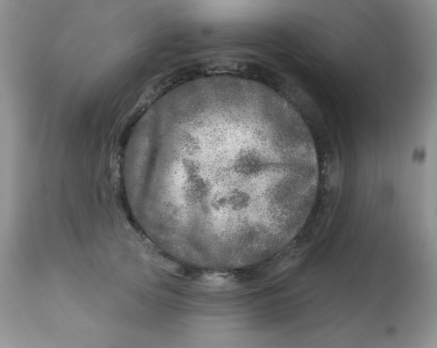 X0000113570753200910091438