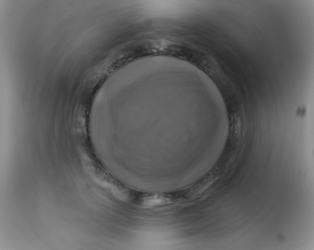 X0000113570754200910091439