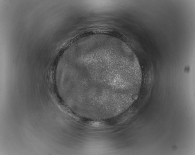 X0000113570755200910091439