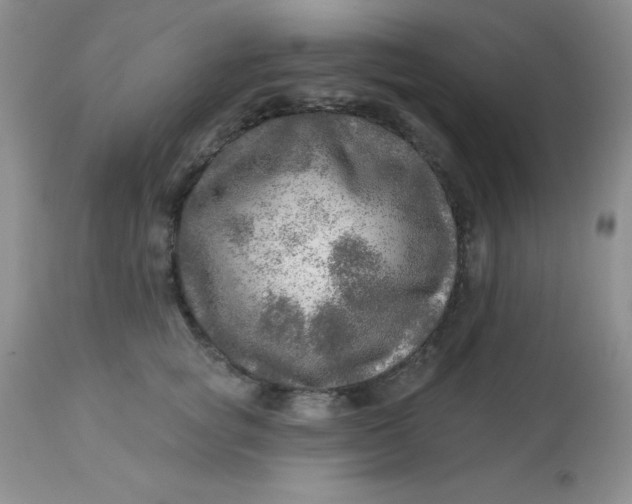 X0000113570757200910091439