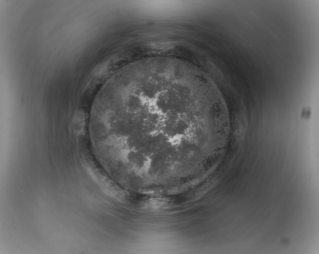 X0000113570758200910091439