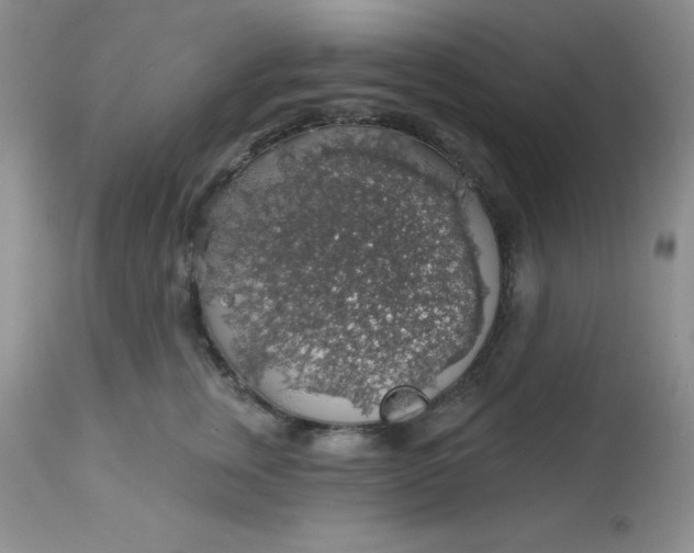 X0000113570759200910091439