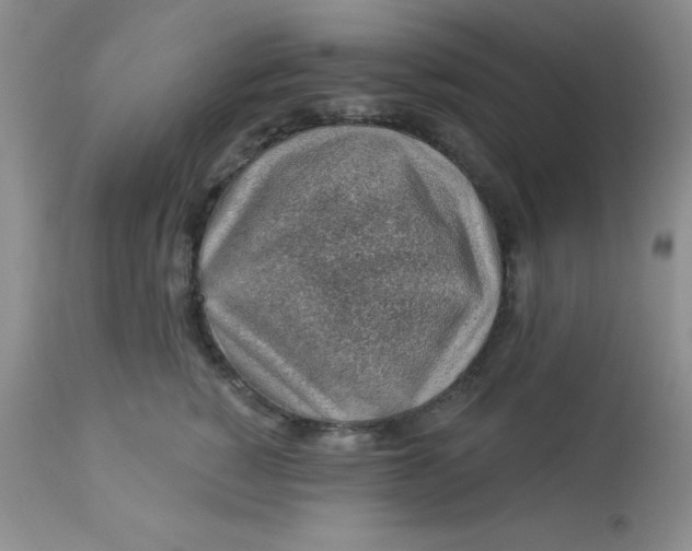 X0000113570760200910091439