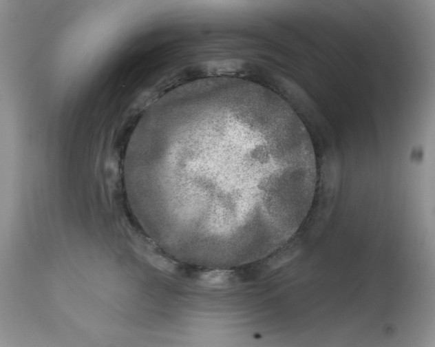 X0000113570761200910091439