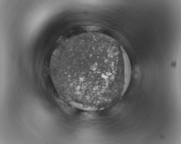 X0000113570763200910091439