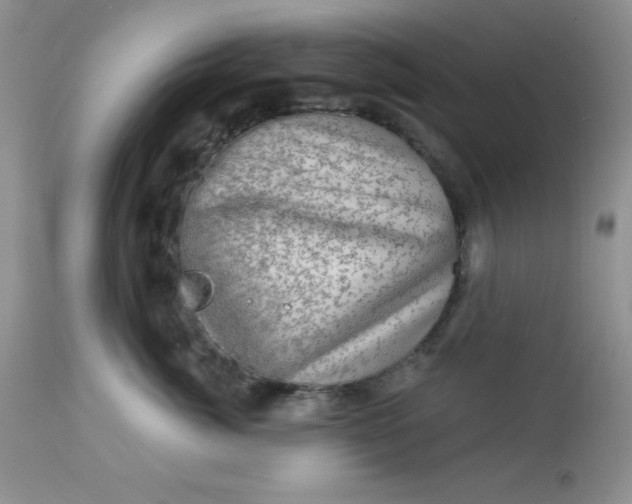 X0000113570764200910091439