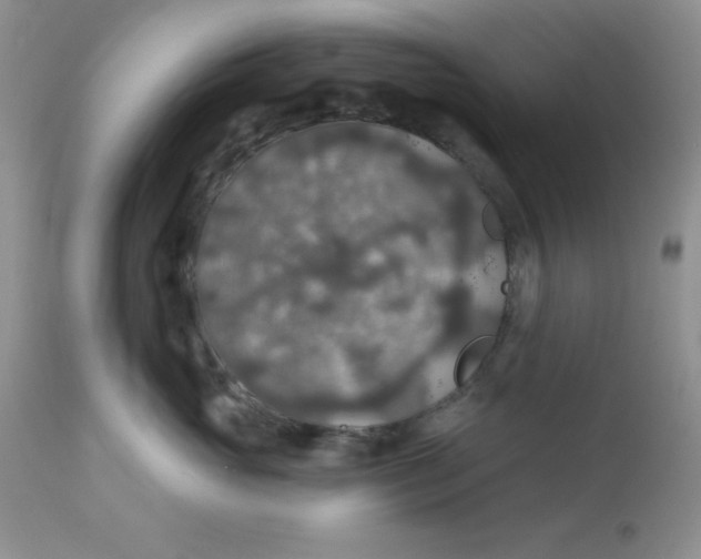 X0000113570765200910091439