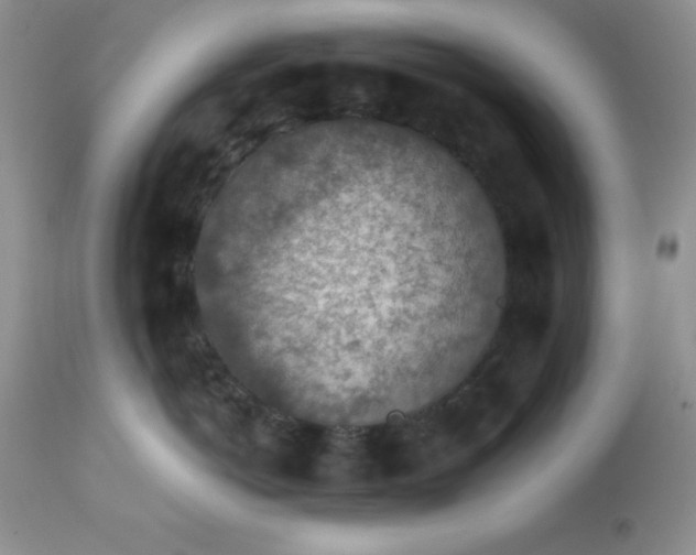 X0000113570766200910091439