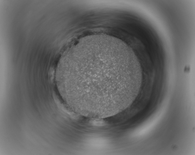 X0000113570767200910091439