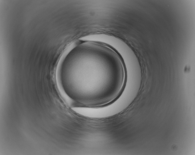 X0000113570768200910091439