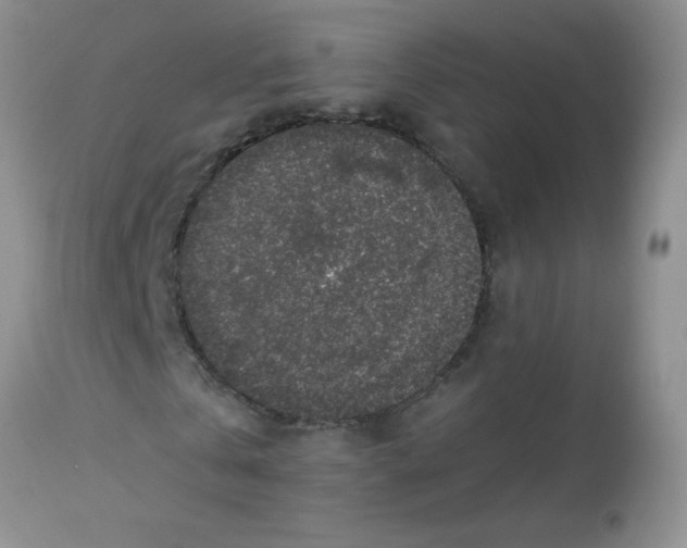 X0000113570769200910091438