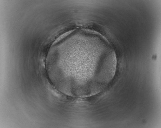 X0000113570770200910091438